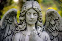 Landscape View Winged Angel Harpeth Hills Memory Gardens