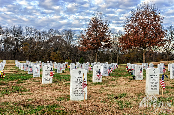 Two Fall Trees Middle Tennessee Veterans Cemetery