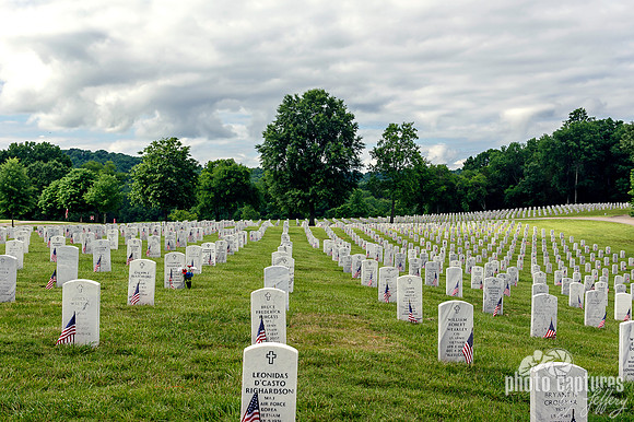 Memorial Day Mccrory Lane Veterans Cemetery