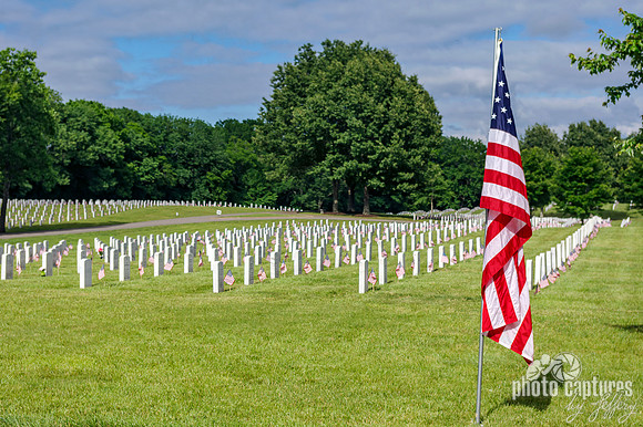 Solemn American Flag Veterans Cemetery