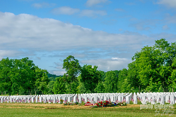Veterans Cemetery Mccrory Lane Nashville Tennessee