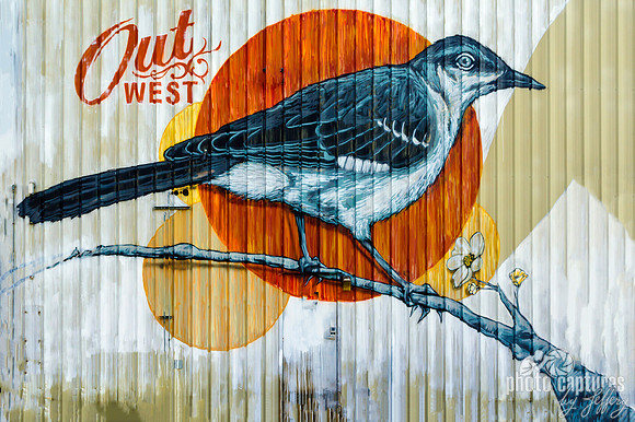 Bird on branch graffiti