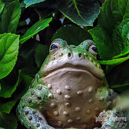 Bullfrog Garden Ornament