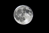 August Full Moon