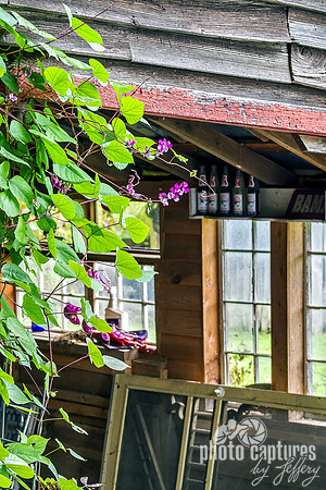 Storage Floral Out Building