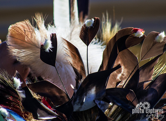 Abstract Head Feathers