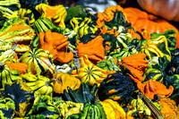 Crown of Thorns Cucurbita pepo ornamental gourds
