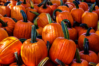 Large Pumpkins With Long Stems