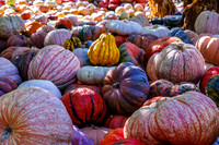 Ornate Pumpkins