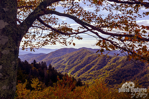 Smoky Mountain view Newfound Gap