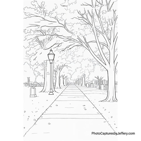 Fall tree lined road Maple Grove Cemetery