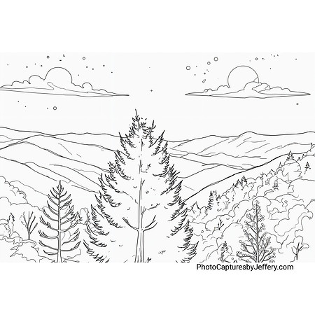 Pine Tree Misty Mountains Great Smoky Mountains