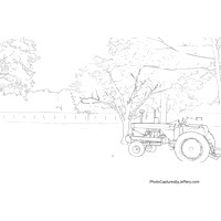 Coloring Book Pages