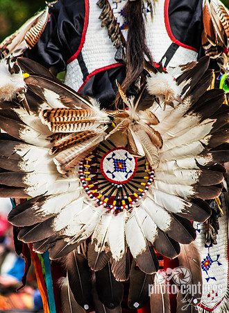 Eagle Feather