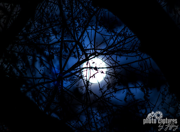 Full October Moon Behind Branches