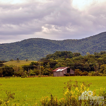 Barn in rural Wears Valley TN square format