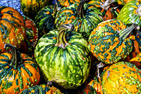 Green Orange Grizzly Bear pumpkins