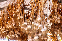 Landscape view of Garlic Hanging Being Cured