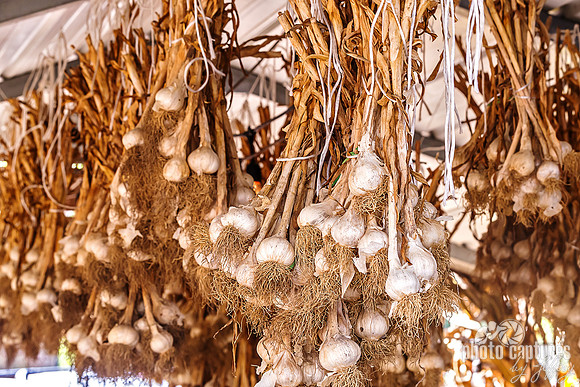 Landscape view of Garlic Hanging Being Cured