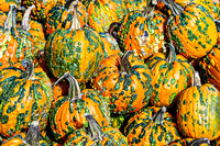 Orange with Green Bumps