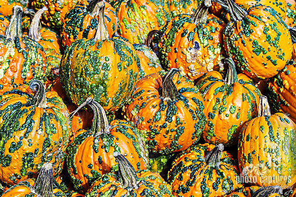 Orange with Green Bumps