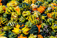 Ornamental gourds