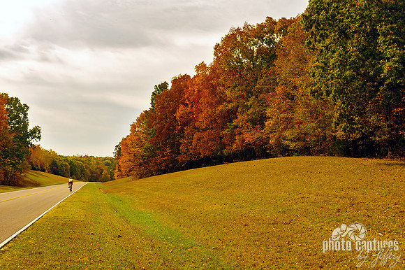 Bicyclist on the Trace riding past fall colours