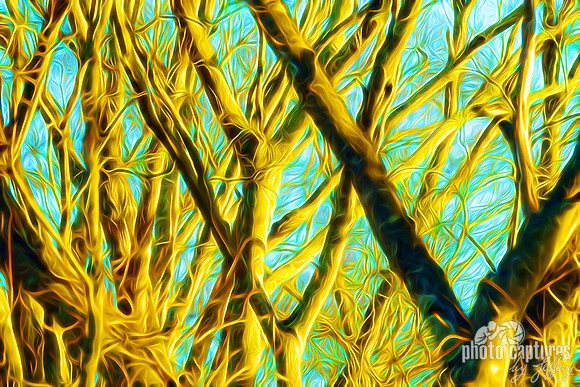 Late Evening View of Barren Tree artistic