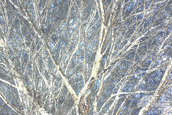 Barren Winter Tree Artistic Rendering