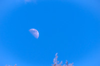 Daylight Moon Against Blue Sky Winter Time