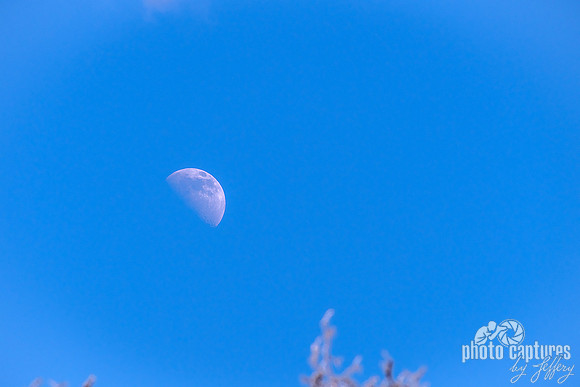 Daylight Moon Against Blue Sky Winter Time