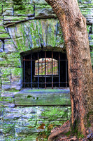 Tree Growing Alongside Spring House Woodlawn Memorial Park