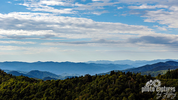 Smoky of Smoky Mountains 12x24 Wide Framed Print