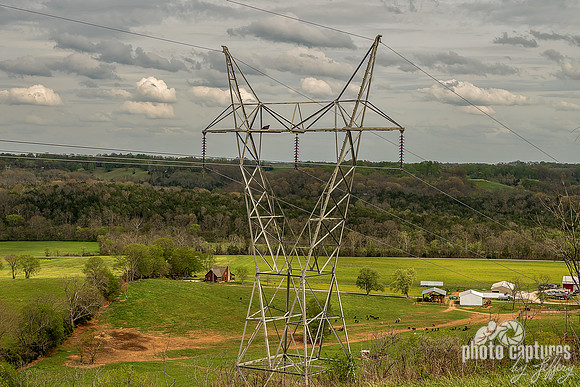 Bird on Transmission Tower Water Valley Overlook