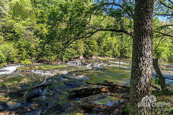 Tree Edge Falling Water Cascades