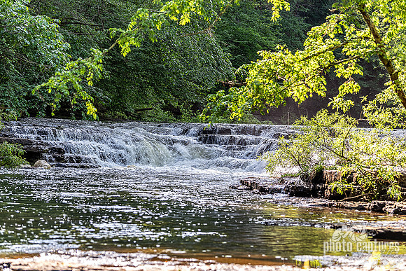 Burgess Falls Cascades
