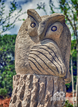 Stone Carved Owl at Cheekwood