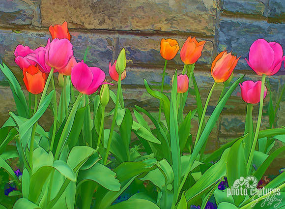 Cartoon Tulips Against Stone Wall