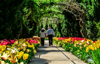 2013 Spring Gardens at Cheekwood Belle Meade TN