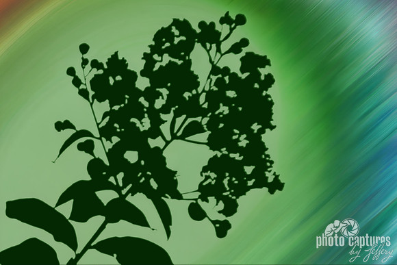 Deep Forest Green Silhouette streaked rainbow colors