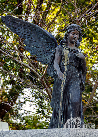 Close Full View Angelic Winged Female Angel