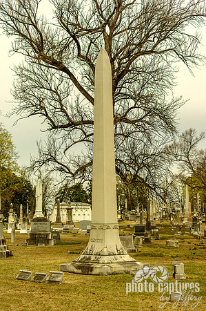 Obelisk in front of large barren tree