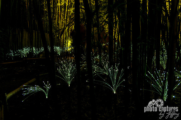 Bamboo Garden Fireflies Flow Of Lights