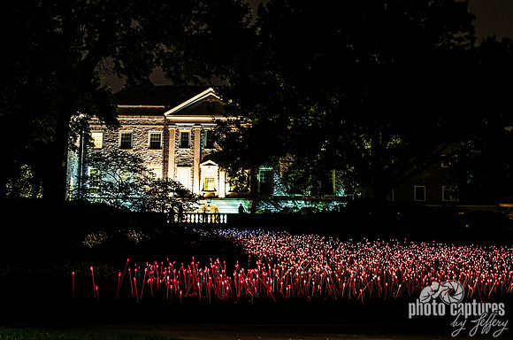 Bruce Munro Field Of Lights Walking In The Field Of Dreams