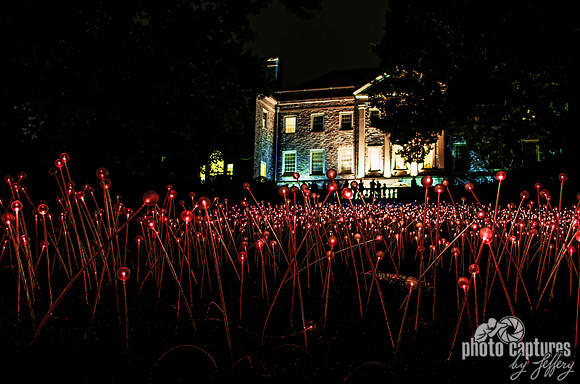 Bruce Munro Field Of Lights Shades Of Reds