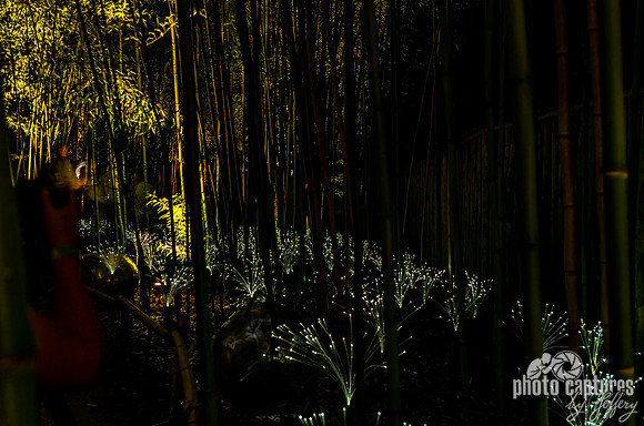 Bamboo Garden Fireflies Night Glow