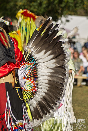 Feathers