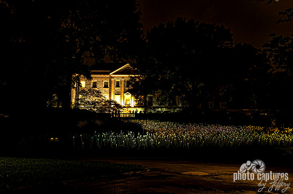 Bruce Munro Field Of Lights Museum Of Art From Road