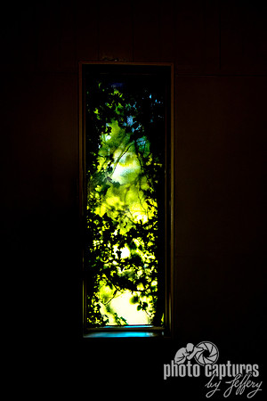 Illuminated window inside South Side Mausoleum at Woodlawn Memorial Park