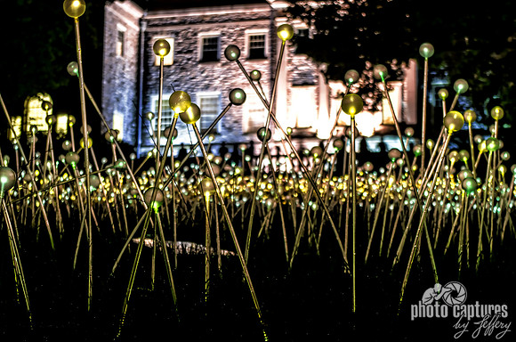 Bruce Munro Field Of Lights Lower View